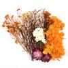 Dried Flowers Set - Orange view 1