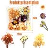 Dried Flowers Set - Orange view 2