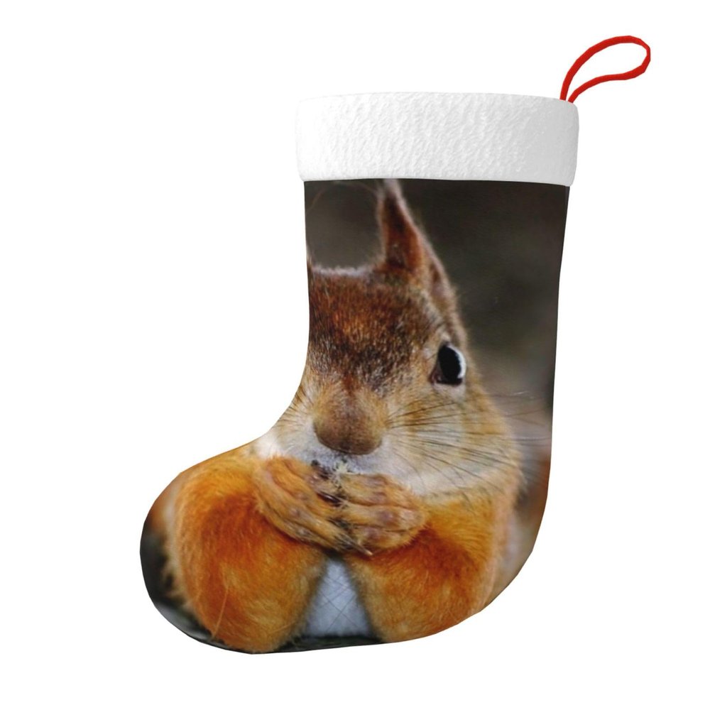 Funny Squirrel Christmas Stocking