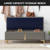 Modern Rectangular Faux Leather Ottoman Bench with Metal Legs, Brown, 60 x 40 x 40 cm view 4
