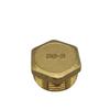 DSZUJTYROP Brass Hex-Head Pipe End Cap Fitting, Male, 1/8" view 1