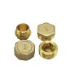 DSZUJTYROP Brass Hex-Head Pipe End Cap Fitting, Male, 1/8" view 2