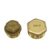 DSZUJTYROP Brass Hex-Head Pipe End Cap Fitting, Male, 1/8" view 3