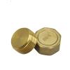 DSZUJTYROP Brass Hex-Head Pipe End Cap Fitting, Male, 1/8" view 4