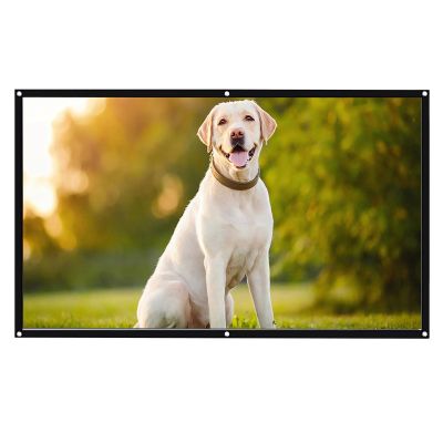 60-Inch 16:9 Portable Projector Screen