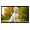 60-Inch 16:9 Portable Projector Screen view 1