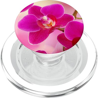 Orchid Flower Garden Colorful Fragrant Plants PopSockets PopGrip for MagSafe: Expandable Stand and Grip for Phones/Tablets with Swappable Top