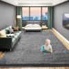 Luxurious Fluffy Rug for Living Room, 12.7 x 17.8 cm, Dark Gray view 1
