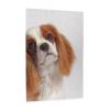 Cavalier King Charles Spaniel 1000-Piece Wooden Puzzle for Adults and Teens view 2