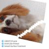Cavalier King Charles Spaniel 1000-Piece Wooden Puzzle for Adults and Teens view 4