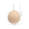 Rubber Laboratory Balloon with Inner Bladder for Gas Sampling, 2 Pieces view 2