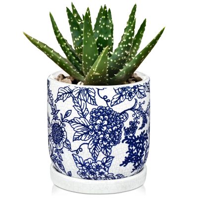 Hollyone Ceramic Flower Pot with Saucer and Drainage Hole, Round Planter for Indoor Plants and Succulents, Outdoor Garden, 14 cm, Blue