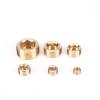 BYLSAGWHT 1 pc M5 M6 M8 M10 M12 M14 M16 M18 M20 M22 1/8" 1/4" 3/8" 1/2" 3/4" 1" NPT Male-Thread Brass Hex Socket End Cap Pipe Fitting (M8 x 1.25, 5 pcs) view 3