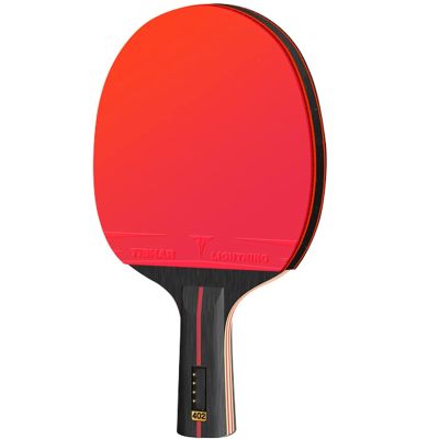 Table Tennis Paddle Set with Carrying Case