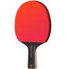 Table Tennis Paddle Set with Carrying Case view 1