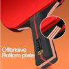 Table Tennis Paddle Set with Carrying Case view 2