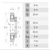 LEOTNNDQ 1-Piece RAE50-NPP-B 50 mm Insert Bearing view 2