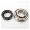 LEOTNNDQ 1-Piece RAE50-NPP-B 50 mm Insert Bearing view 3