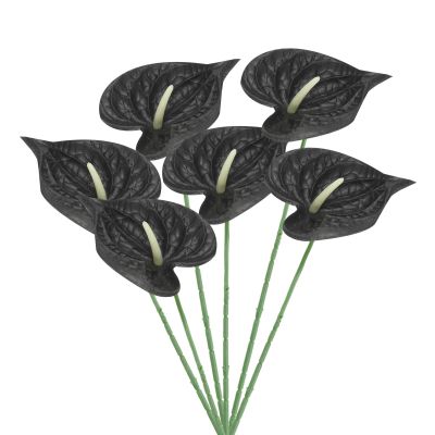 PATIKIL 13-Inch Artificial Anthurium Lily Flowers, 6-Pack, Black