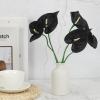 PATIKIL 13-Inch Artificial Anthurium Lily Flowers, 6-Pack, Black view 4