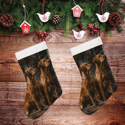 Personalized Christmas Stocking, 18 in, Two Large Brown Dogs, Plush