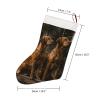 Personalized Christmas Stocking, 18 in, Two Large Brown Dogs, Plush view 2