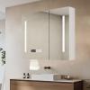 WLCNYL LED Bathroom Mirror Medicine Cabinet with Storage, Anti-Fog, 3-Color Lighting view 1