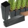 Tall Plant Pots, 20 Pack, Size 8, Tree Seedling Containers with Drainage Holes view 3