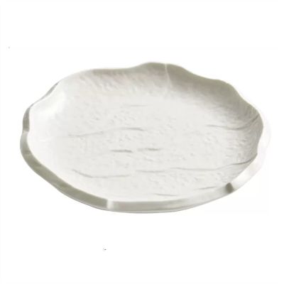 White Ceramic Dinner Plate