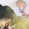 Squirrel Flannel Blanket for Bed or Sofa, Thick Plush Throw, 55 x 71 in view 4