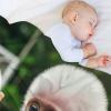 AAPZY ser AFFE Soft Flannel Fleece Blanket for Children and Adults, Four-Season Throw for Bed or Couch, 150 x 200 cm view 4