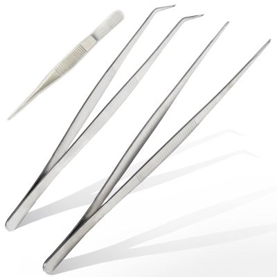 Professional Stainless Steel Tweezers, 25 cm, Curved and Straight, 3-Piece Set