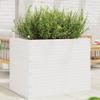 Furniture Select-Garden White Planter 90 x 60 x 68.5 cm Solid Wood Pine view 1