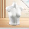 YsXoWiui Female Torso Mannequin for Lingerie Display view 4