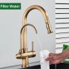 2-in-1 Pull-Out Kitchen Faucet with Drinking Water Filter, Antique Brass, 360° Swivel view 2