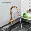 2-in-1 Pull-Out Kitchen Faucet with Drinking Water Filter, Antique Brass, 360° Swivel view 4