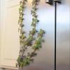 Ivy Refrigerator Magnets, 3D-Printed, Yellow, 1 Set view 3
