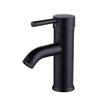 304 Stainless Steel Single-Hole Hot and Cold Basin Faucet, Straight Spout, Black view 1