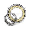 EGTDSFGJA Cylindrical Roller Bearing NU405M/EM 32405H, 25 mm ID, 80 mm OD, 21 mm Width view 1