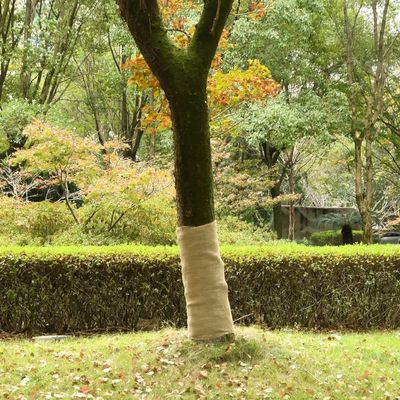 XGWKCNV Jute Rolls for Furniture Selection, 2 Pieces, 1 x 50 m, 100% Jute, 200 g/m²
