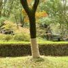 XGWKCNV Jute Rolls for Furniture Selection, 2 Pieces, 1 x 50 m, 100% Jute, 200 g/m² view 1