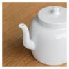 SDA287MZ Ceramic Teapot, Single-Pot Kung Fu Tea Set view 3