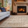 nuLOOM SplashGuard Machine-Washable Area Rug, 2.4 x 3.4 m, Spill-Resistant, Non-Slip, Stain-Resistant, Si-Beige view 1