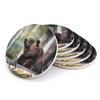 Round Ceramic Coasters, Grizzly Brown Bear in the Forest, 6-Pack (108 x 108 mm) view 1