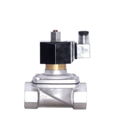 Stainless Steel Solenoid Valve, Waterproof, Normally Open, with LED Power Indicator, 24 V, 12 V, 220 V, 110 V (BSP-220 VAC-NBR-SEAL)