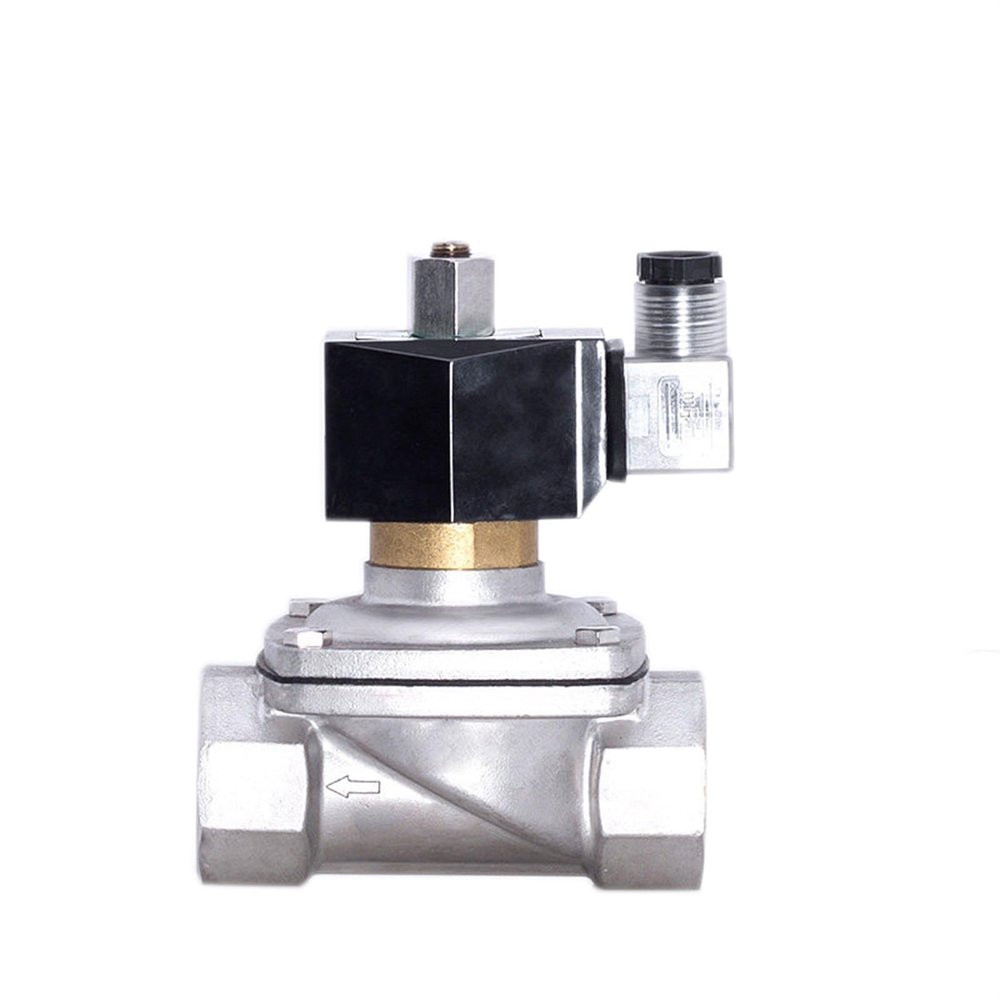 Stainless Steel Solenoid Valve, Waterproof, Normally Open, with LED Power Indicator, 24 V, 12 V, 220 V, 110 V (BSP-220 VAC-NBR-SEAL)