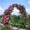 Weather-Resistant Garden Arch Support for Climbing Plants and Flowers, Stable Base, 350 x 220 x 40 cm view 2