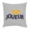 Fabulous Gray Velvet Cushion, Top Player Men's Sports Aperitif, 40 x 40 cm, Soft Velvet Feel, Cover and Cushion Included view 1