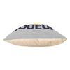 Fabulous Gray Velvet Cushion, Top Player Men's Sports Aperitif, 40 x 40 cm, Soft Velvet Feel, Cover and Cushion Included view 4