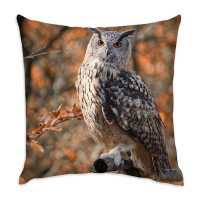 Fabulous Velvet Pillow Cover, White, Owl on a Branch in Autumn, Wild Forest, 40 x 40 cm, Velvet-Soft